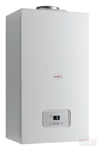 картинка Конденсационный газовый котел Protherm Lynx condens 25 MKO фото 2
