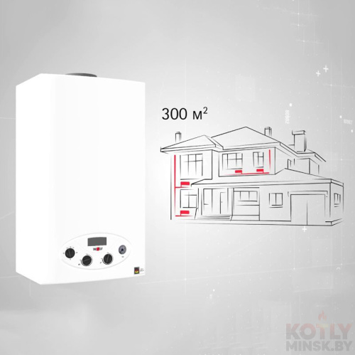картинка Газовый котел WOLF FGG-K-24 фото 4