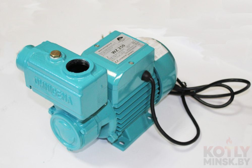 Поверхностный насос без бака Omnigena WZ 250 фото 3