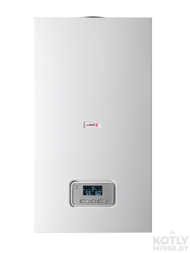 картинка Газовый котел Protherm ПАНТЕРА 30 KTV фото 5