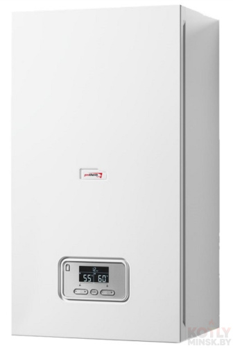 картинка Газовый котел Protherm ПАНТЕРА 25 KTO+ фото 5