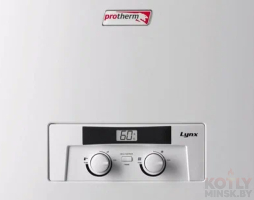 картинка Газовый котел Protherm Lynx HK 28 (Рысь) фото 5