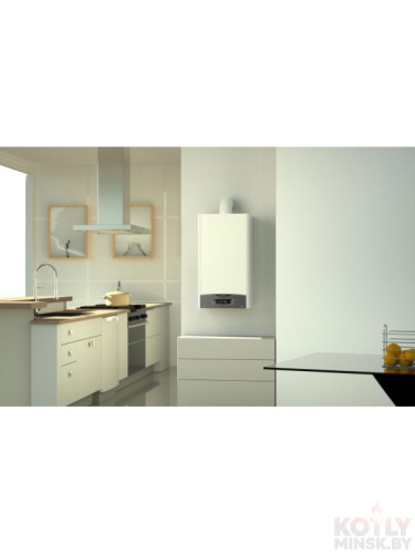 картинка Конденсационный газовый котел ARISTON CLAS ONE SYSTEM 24 RDC фото 3