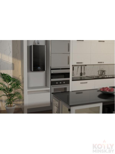 картинка Газовый котел Ariston ALTEAS X 30 CF фото 2