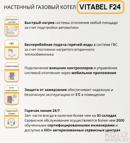 картинка Газовый котел Ferroli Vitabel F24 фото 6