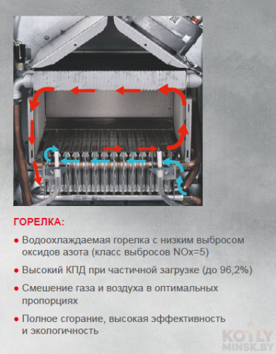 картинка Газовый котел WOLF CGG-3-24 фото 3