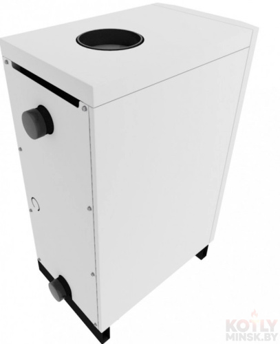 Газовый котел Лемакс CLASSIC 12,5W фото 3