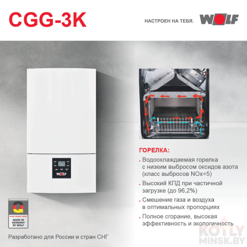 картинка Газовый котел WOLF CGG-3-24 фото 2