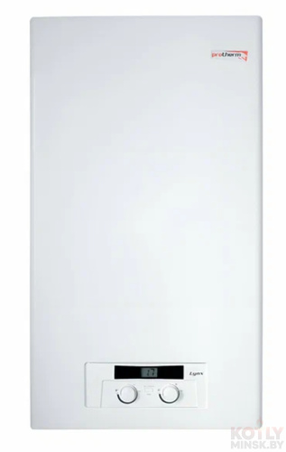 картинка Газовый котел Protherm Lynx HK 28 (Рысь)